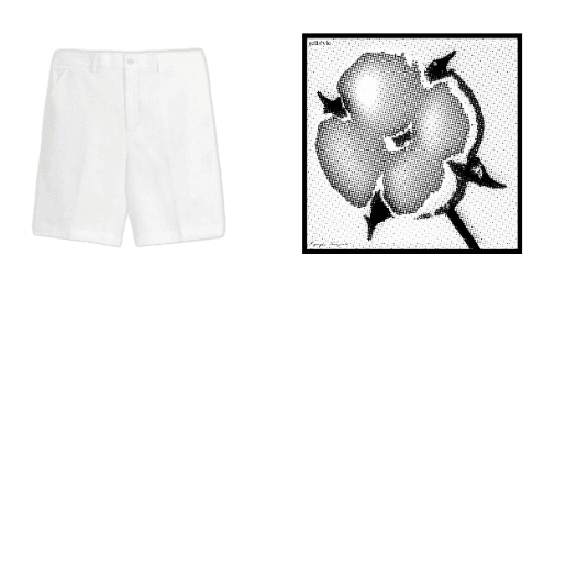 outfit image